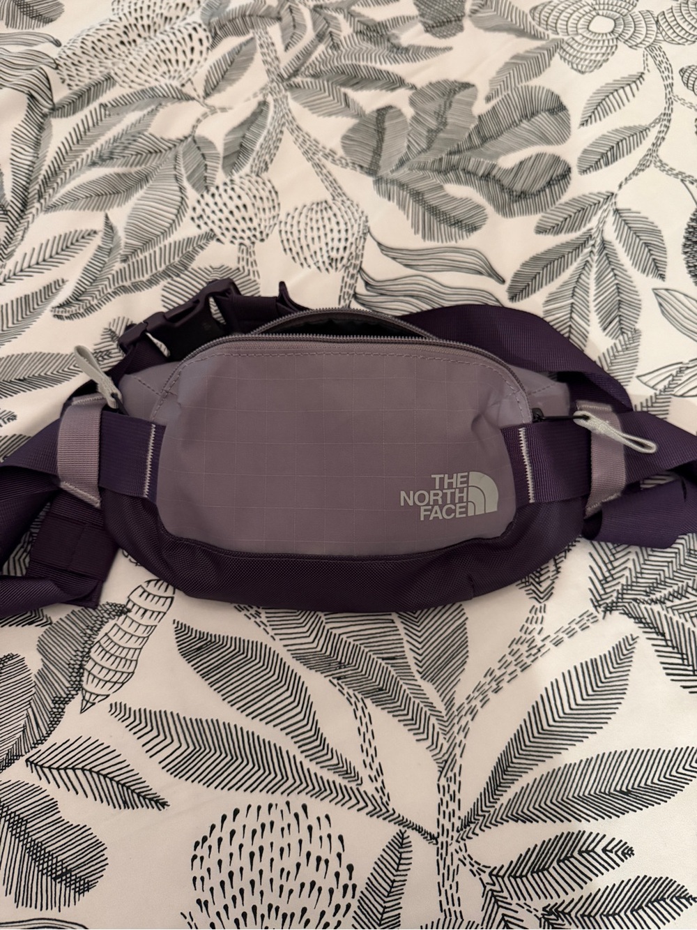 The North Face Purple and Lavender Waist Pack - Men's Belt Bag